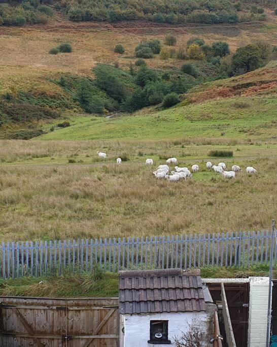 Welsh Miners Cottage Four Bedroom House Treherbert Esterno foto